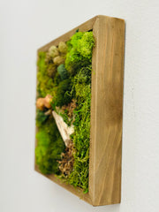 Natural Moss Wall Frame