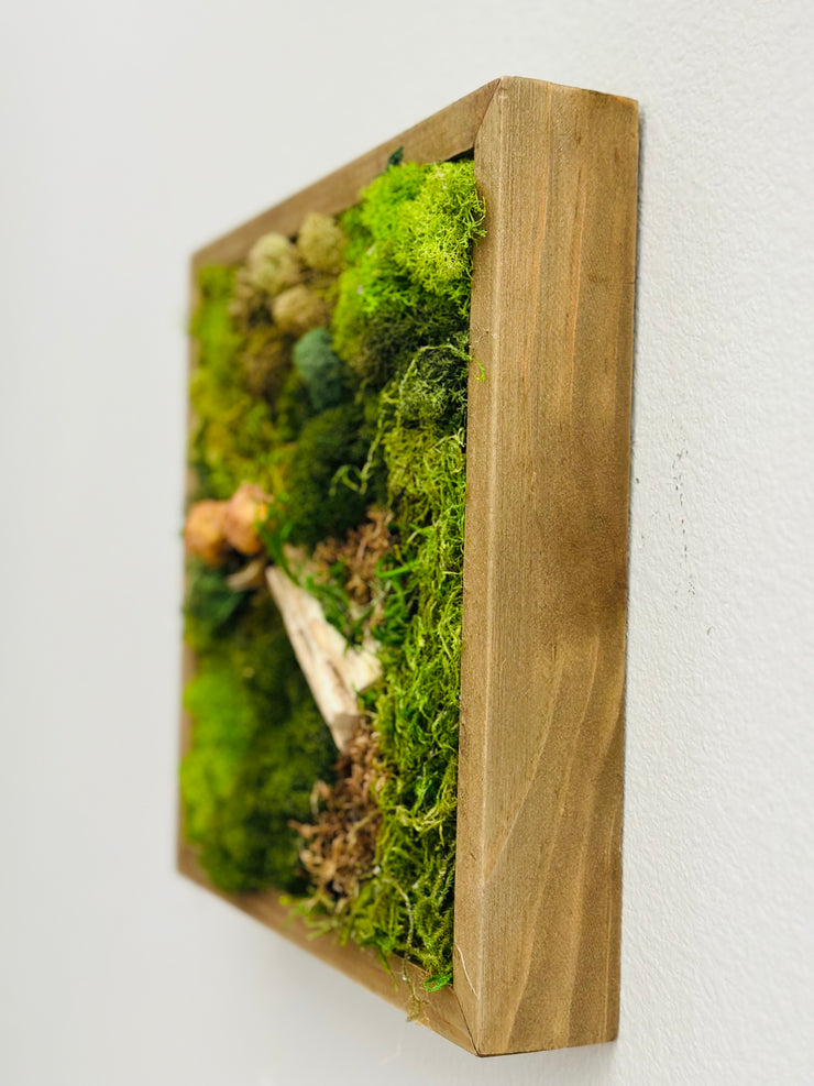 Natural Moss Wall Frame
