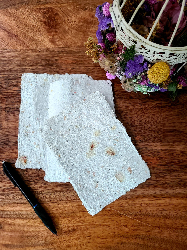 Handmade Seed Paper With Florida Native Wildflower Seeds