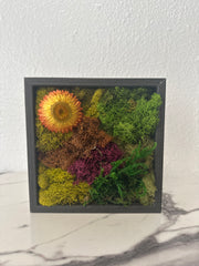 Vintage Frame with Natural Dried Flowers