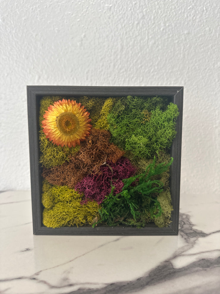 Vintage Frame with Natural Dried Flowers