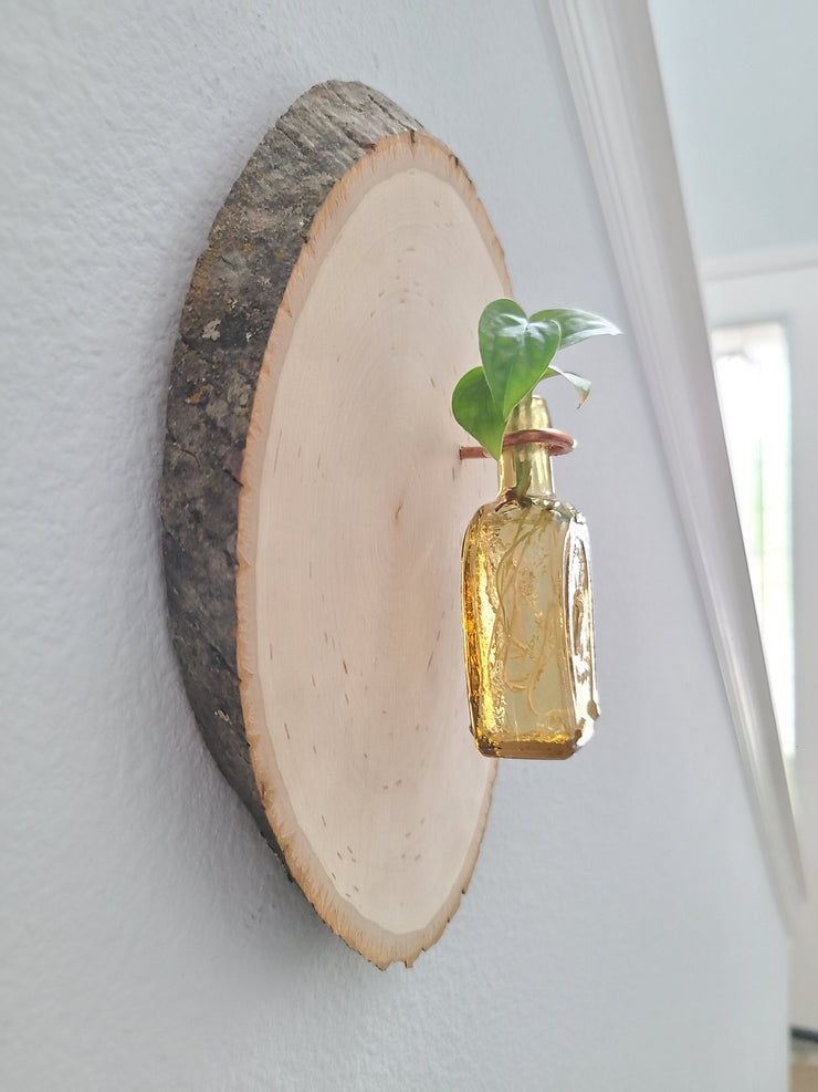 Live Edge Wood with a Vintage Bottle