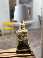 Terrarium Lamp