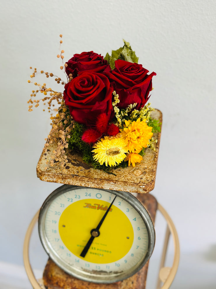 Vintage Scale with Dried Floral, Preserved Roses and Moss