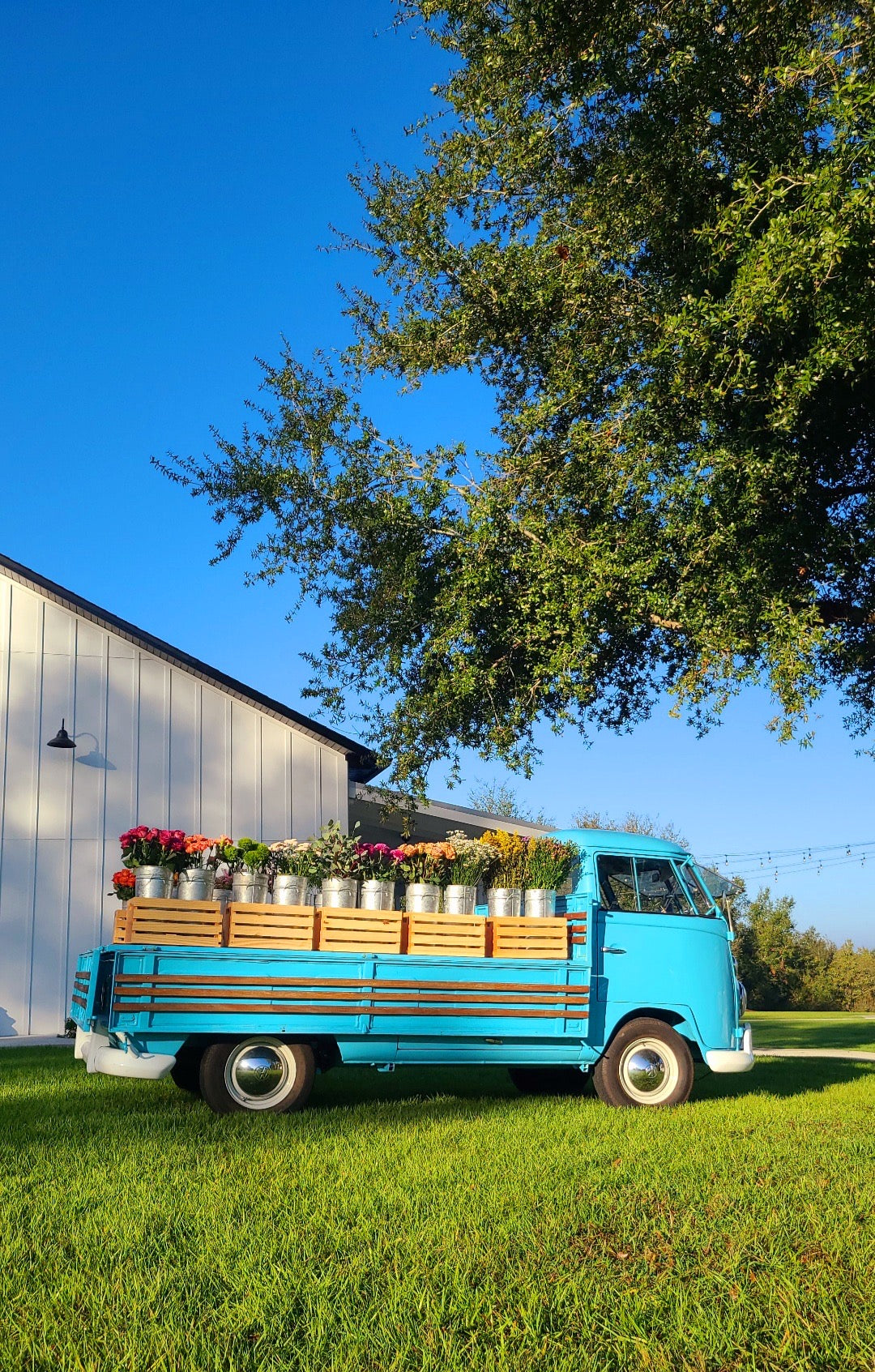 Our retail Vintage Volkswagen Bus – RootsandFlora