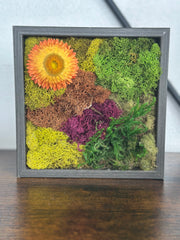 Vintage Frame with Natural Dried Flowers
