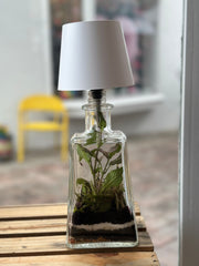 Terrarium Lamp