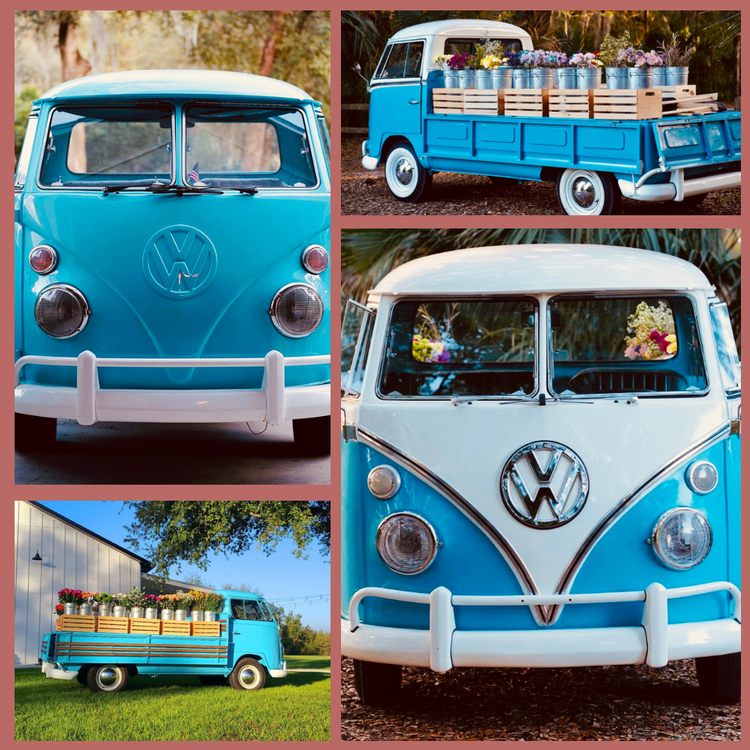 多肉 寄せ植え★flower bus-フラワーバス 水色★ Our retail Vintage Volkswagen Bus – RootsandFlora
