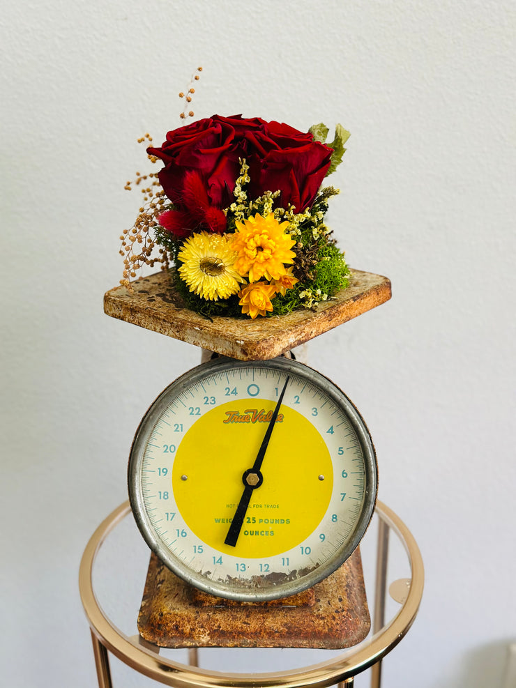 Vintage Scale with Dried Floral, Preserved Roses and Moss