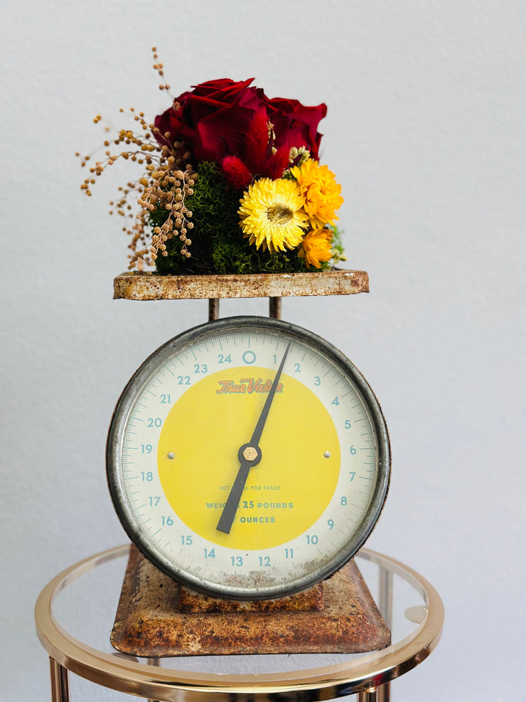 Vintage Scale with Dried Floral, Preserved Roses and Moss