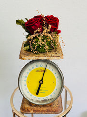 Vintage Scale with Dried Floral, Preserved Roses and Moss