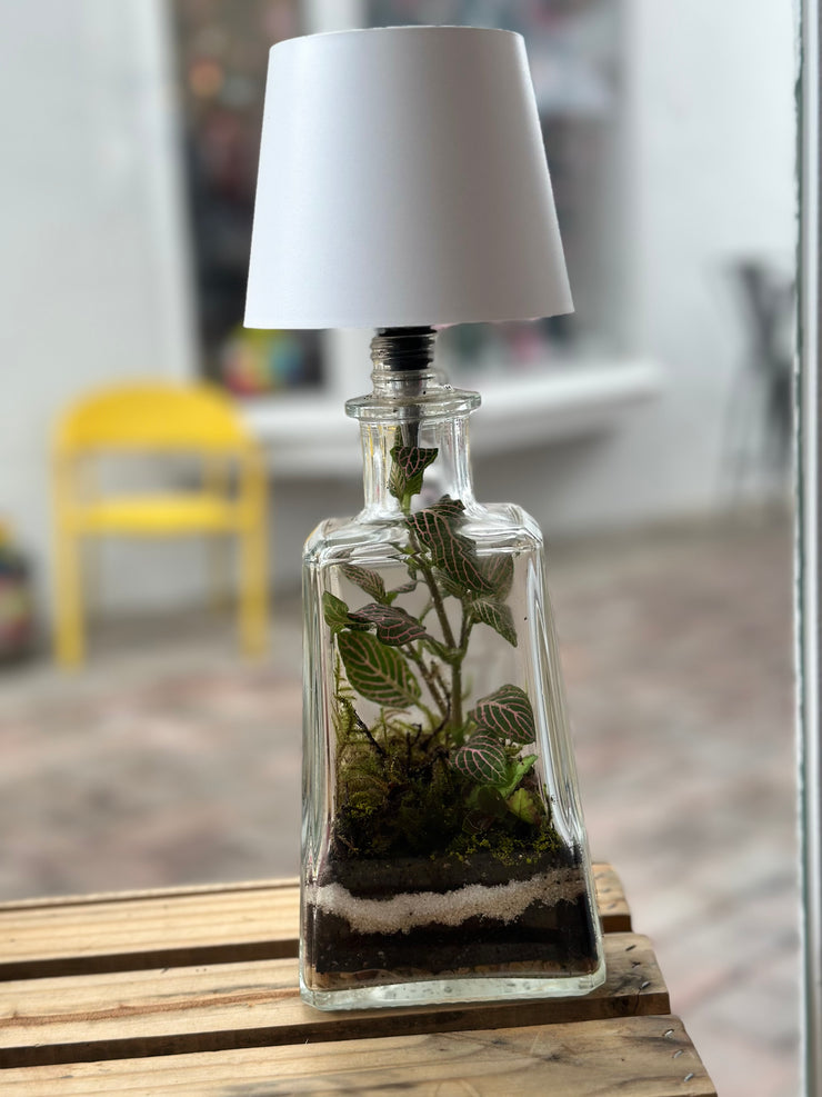 Terrarium Lamp