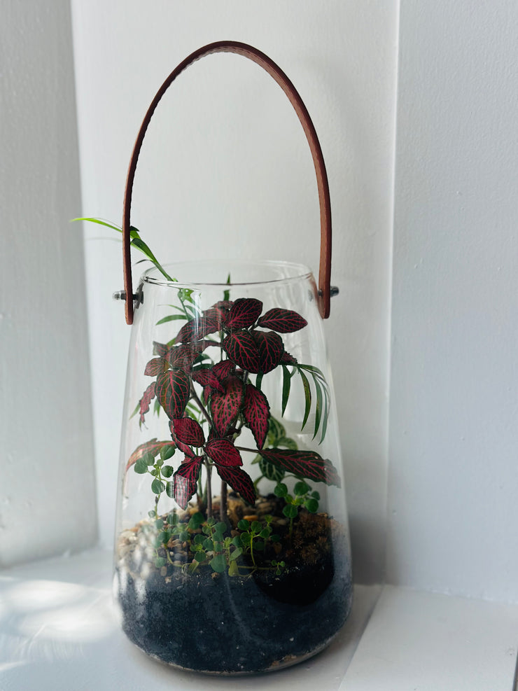 Terrarium