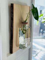 Live Edge Wood Propagation Station