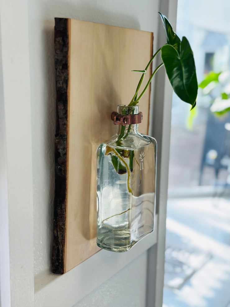 Live Edge Wood Propagation Station