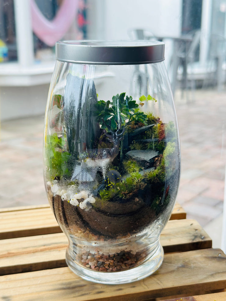 Live Terrarium