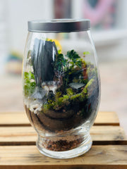 Live Terrarium