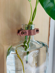 Live Edge Wood Propagation Station