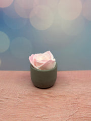 Single Pink Preserved Rose