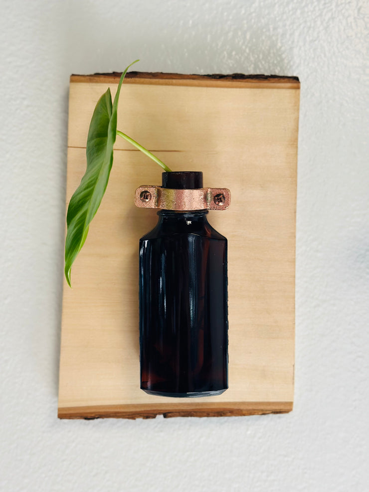 Live Edge Wood Propagation Station