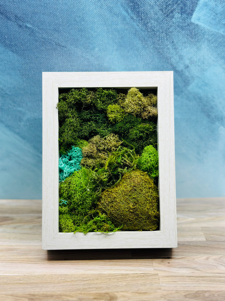 Tabletop Wood Frame With Preserved Moss