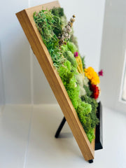 Moss Frame Decor