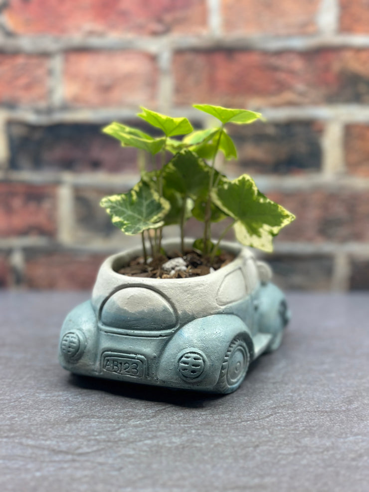 Handmade Concrete Vintage Beetle Volkswagen Pot