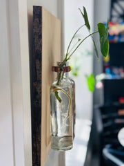 Live Edge Wood Propagation Station