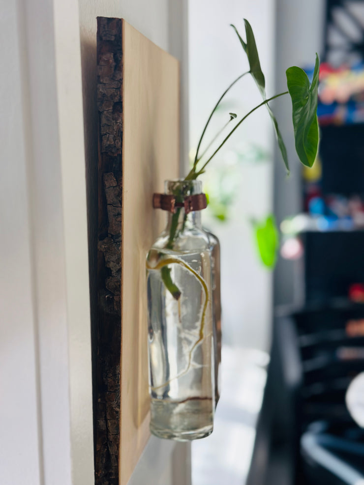 Live Edge Wood Propagation Station