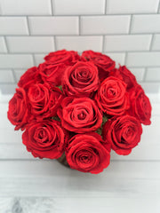 Ecuadorian preserved red roses