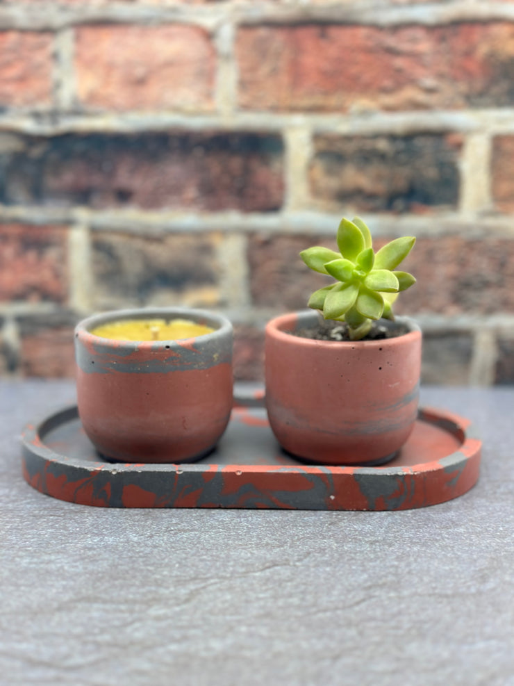 Tray Set: Candle+Plant