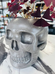 Oxalis Triangularis in a Concrete Skull Pot