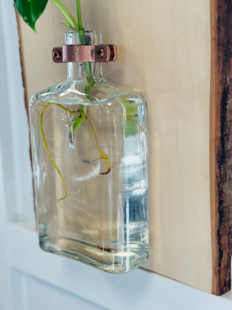 Live Edge Wood Propagation Station