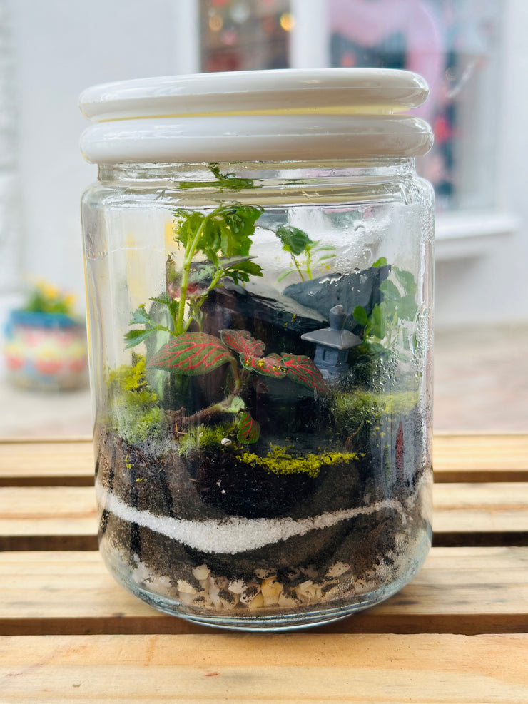 Live Terrarium