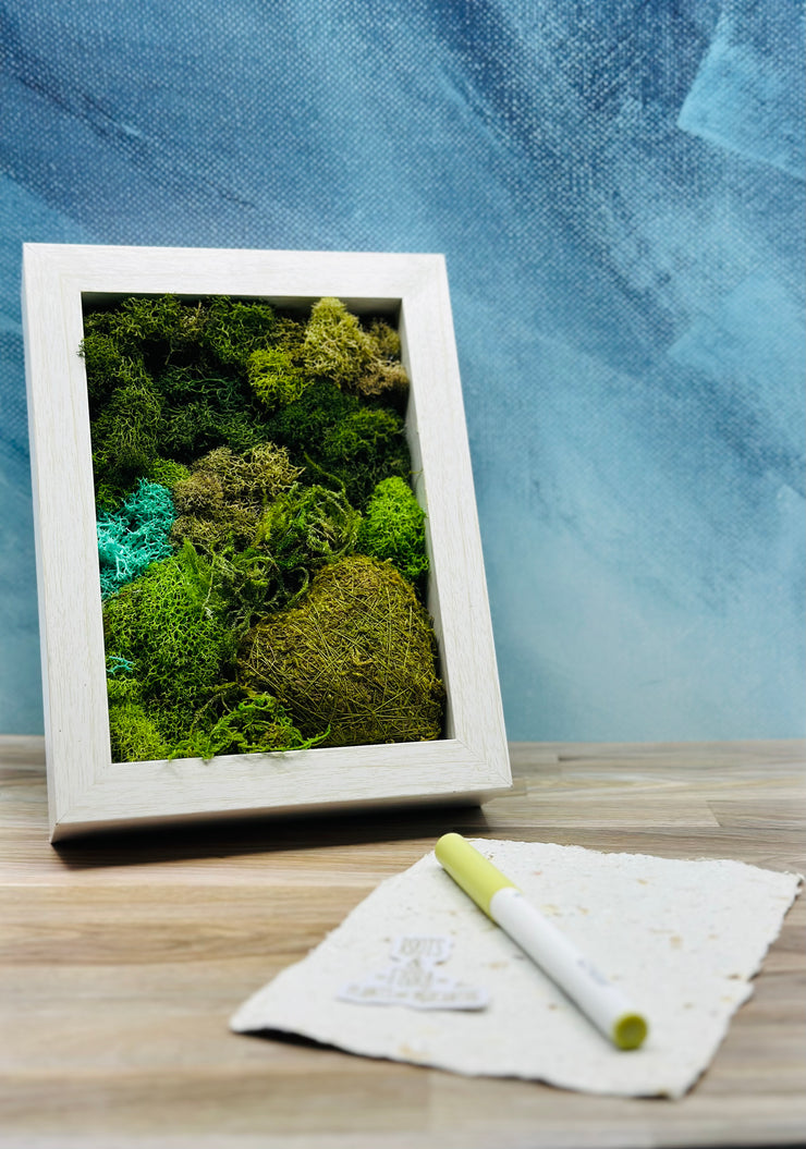 Tabletop Wood Frame With Preserved Moss