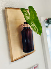 Live Edge Wood Propagation Station