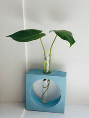 Handmade Concrete Propagation Station