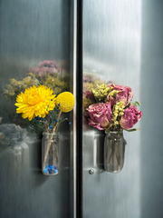 Magnet With Dry Florals / Set of 2