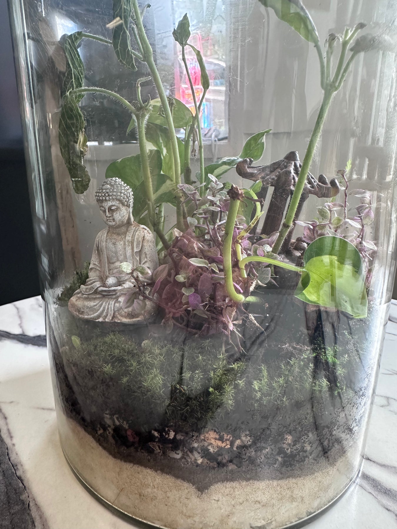 plant terrarium lamp Terrarium Lamp