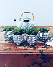 Mossy Tea Set