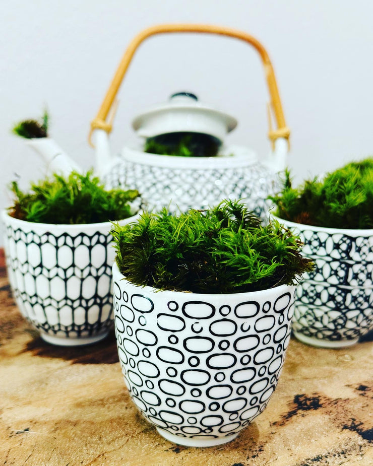 Mossy Tea Set