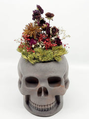 Skull Planter with Plants