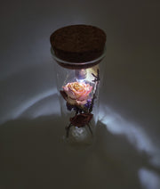 Dried Flowers and Quartz Crystal Mini Lamp