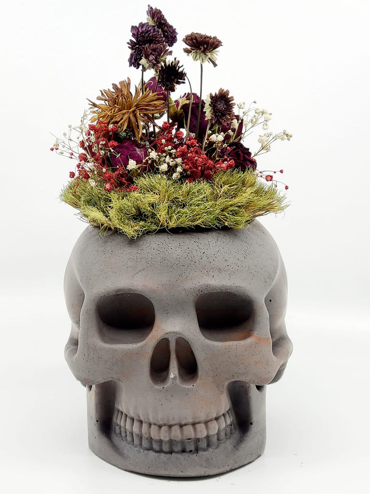 Skull Planter with Plants