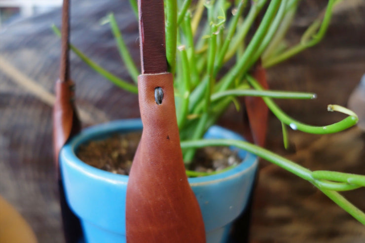 The Leather Plant Hanger